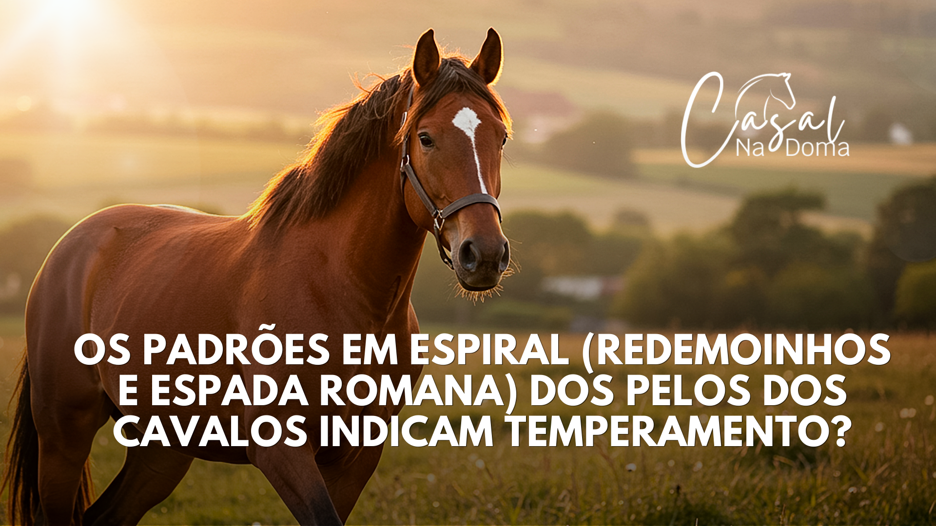Os padrões em espiral (redemoinhos e espada romana) dos pelos dos cavalos indicam temperamento?